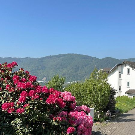 Ferienwohnung Rhein-Panorama Lahnstein Zewnętrze zdjęcie