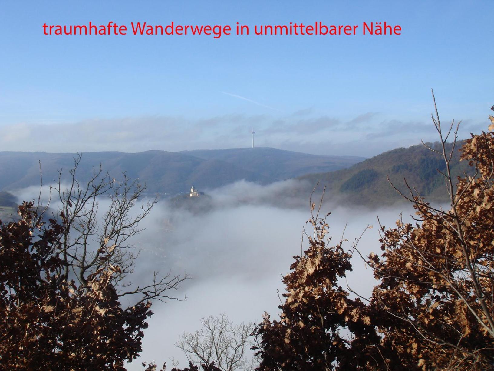 Ferienwohnung Rhein-Panorama Lahnstein Zewnętrze zdjęcie