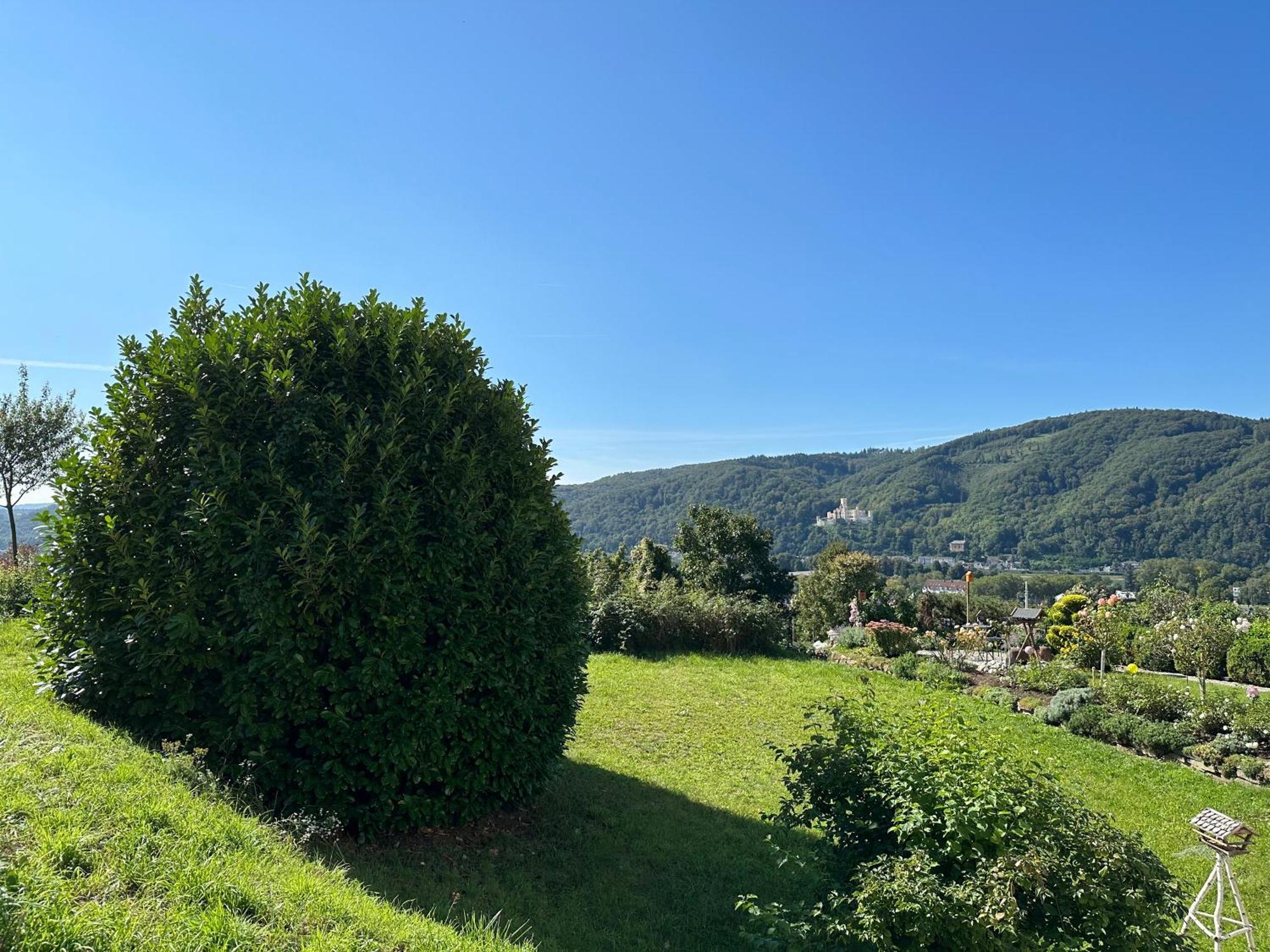Ferienwohnung Rhein-Panorama Lahnstein Zewnętrze zdjęcie